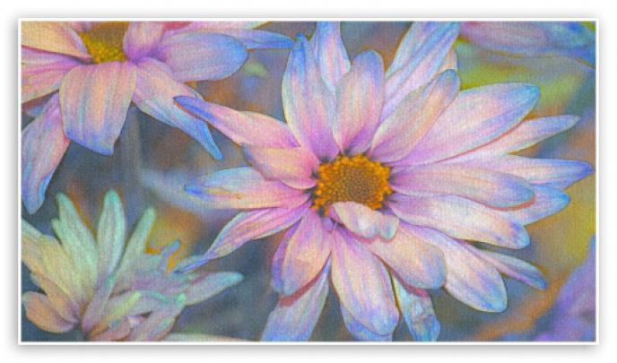 Pastel Ultra HD Desktop Background Wallpaper for 4K UHD TV