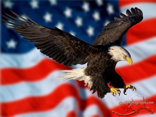 [78+] Patriotic Desktop Wallpaper 
