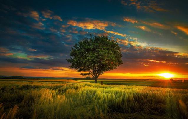 Amazing Views, Cool Nature Photos, Nature Wallpaper For Samsung, HD 