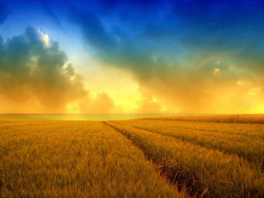 wallpapers: Free Photography Wallpapers