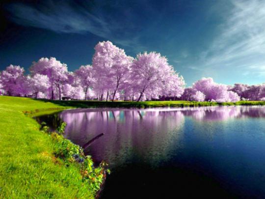 Cool Lake Nature_Photography \u2013 Nature Lakes HD Desktop Wallpaper