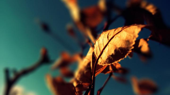 Cool Photography Backgrounds