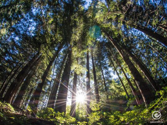 Best 50+ PNW Desktop Backgrounds on HipWallpaper | Beautiful Widescreen 