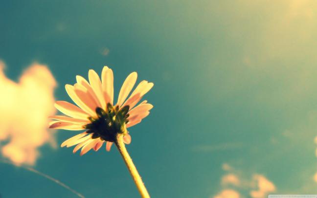 Download 20+ Free Vintage Photography Desktop Wallpapers