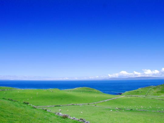 Summer Photos \/ Wallpaper \/ Desktop Backgrounds