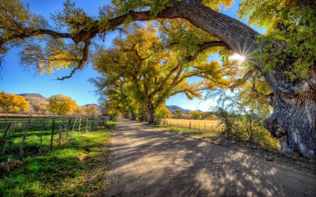 nature, Photography Wallpapers HD \/ Desktop and Mobile Backgrounds