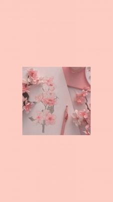 Peach Aesthetic Wallpapers \u2022 Wallpaper For You HD Wallpaper For Desktop 