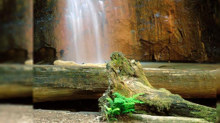 Popular Desktop Wallpapers