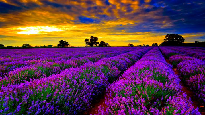 Best 47+ France Desktop Backgrounds on HipWallpaper | Nice France 