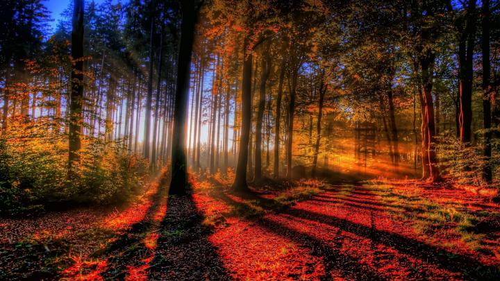 Fall Wallpaper Desktop (72+ images)