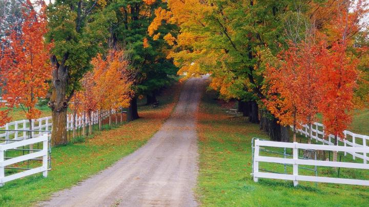Collection of some best scene of Autumn season HD Wallpapers - All HD 