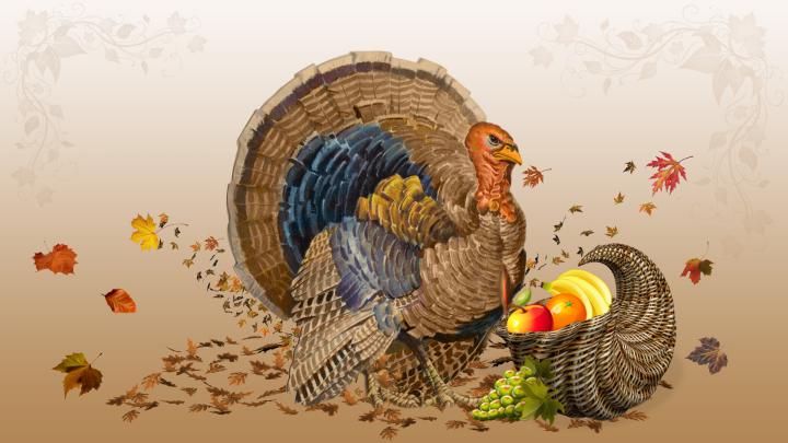 Turkey Wallpaper Thanksgiving \u00b7\u2460 