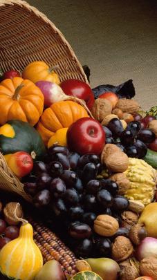 Thanksgiving Wallpaper 1920x1080 (73+ images)