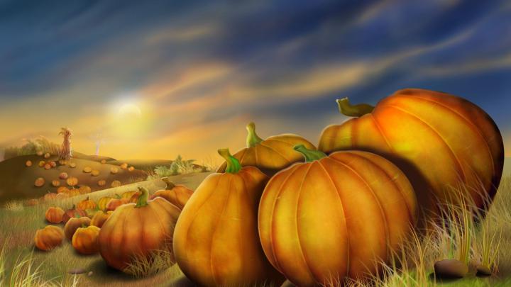 Thanksgiving Wallpapers: 20+ Images - WallpaperBoat