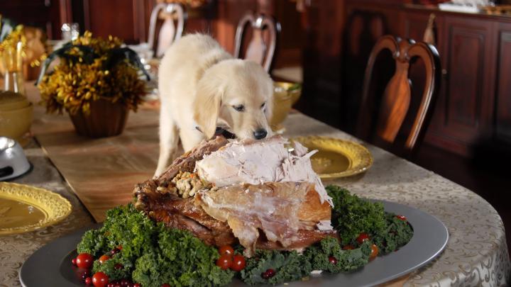 Thanksgiving Wallpaper 1920x1080 (73+ images)