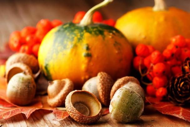Thanksgiving wallpaper \u00b7\u2460 Download free HD wallpapers for desktop 