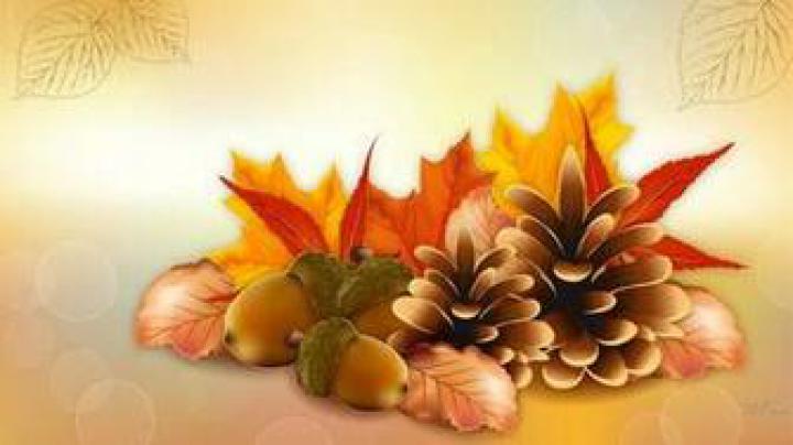 Free download Thanksgiving wallpaper [1920x1080] for your Desktop 