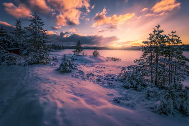 Winter HD Wallpaper | Background Image | 2000x1335 | 870758 