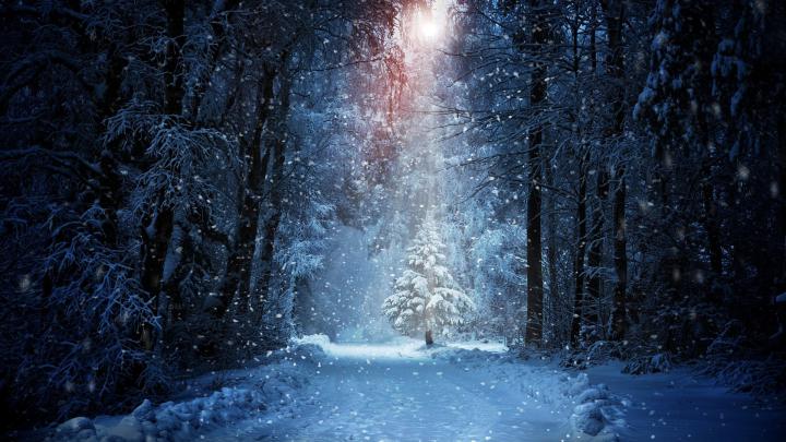 Iphone Winter Wallpaper Hd 1920x1080 - Images Gallery