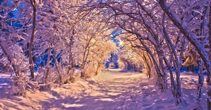 Christmas Winter Wallpaper Hd 1920x1080 - Get Images
