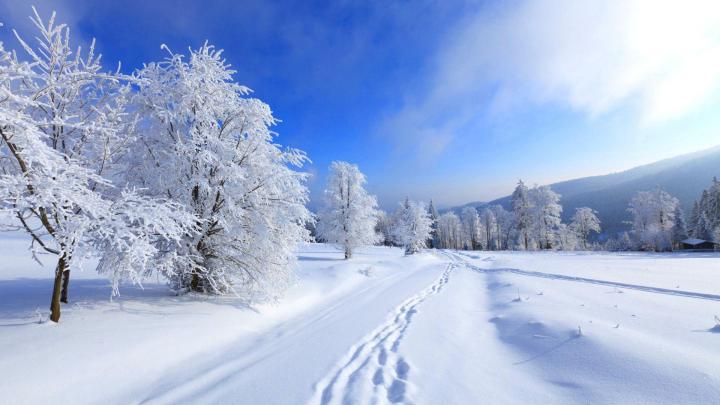 Winter Wallpapers - Winter Wallpaper Hd - 1920x1080 Wallpaper - teahub.io