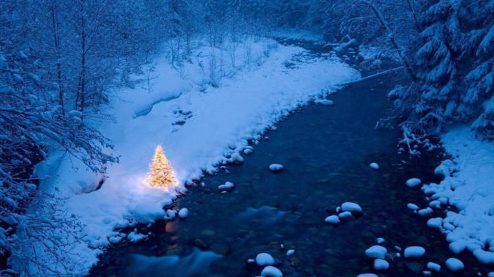 23+ Christmas Winter Wallpaper Hd 1920x1080 - Venera Wallpaper