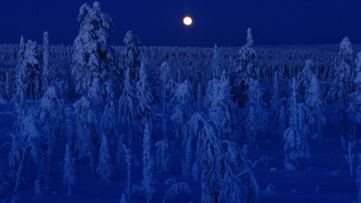 21+ Dark Winter Wallpaper Hd 1920x1080