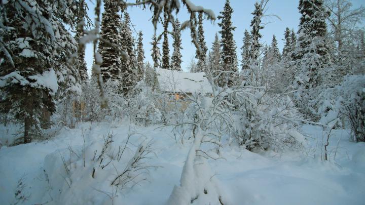 HD Winter Wallpapers 1080p (68+ images)