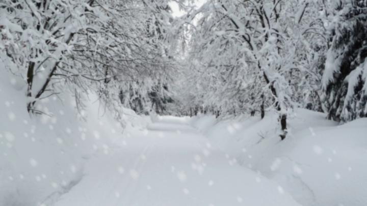 18++ Snowflake Winter Wallpaper Hd 1920x1080 - Venera Wallpaper