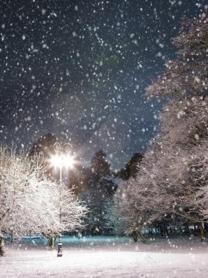 Free download Nature Winter Wallpaper 1920x1080 Nature Winter Season 