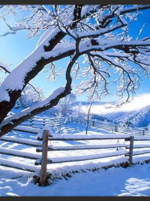 Free download bluepop13fileswordpresscom200912desktop 2 winterpng 