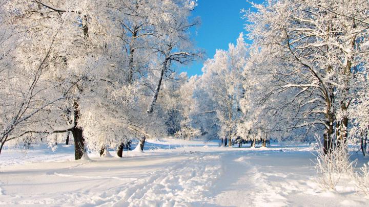 Winter Wallpaper Hd 1920x1080 - Wallpaper HD New