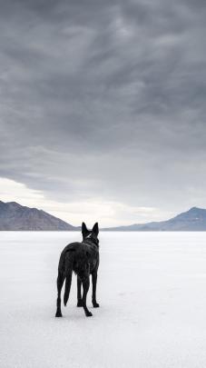 Desktop Wallpaper 1080x1920 -
