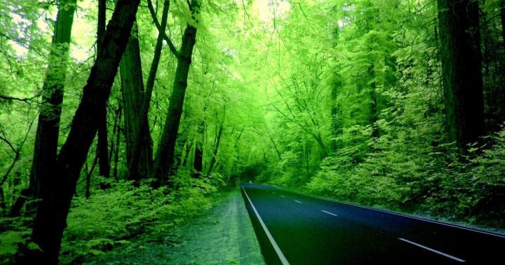 3D Nature Wallpaper For Mobile 1920X1080 - 3D 1920x1080 HD Nature 