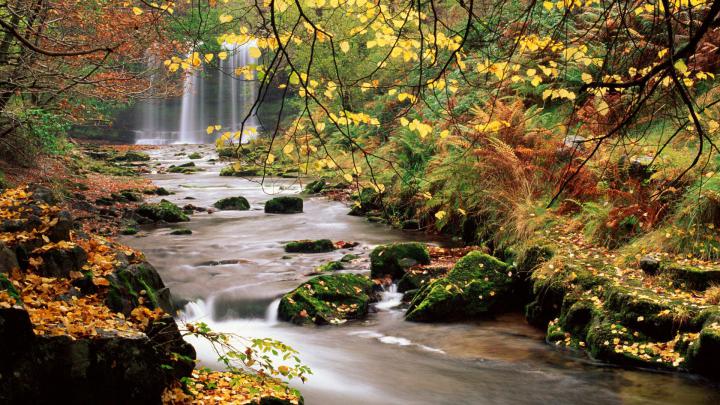 High Resolution Nature Wallpapers - Top Free High Resolution Nature 