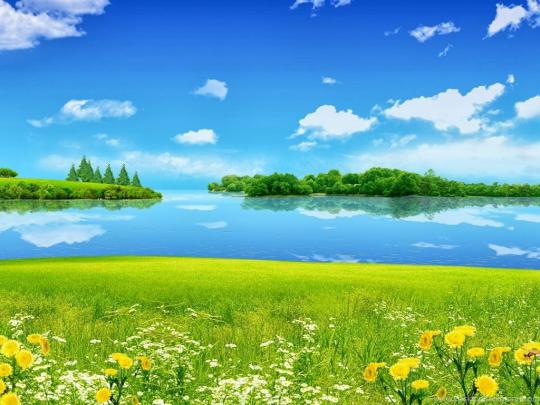 Full Screen Desktop Background Nature Wallpaper Hd - canvas-doozy