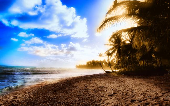 55+ Summer Wallpaper Screensavers