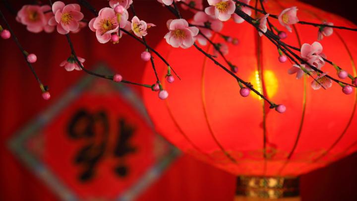 2014-01-31_ZH-CN9369063300_TraditionalLanternAndPlum_1920x1080 