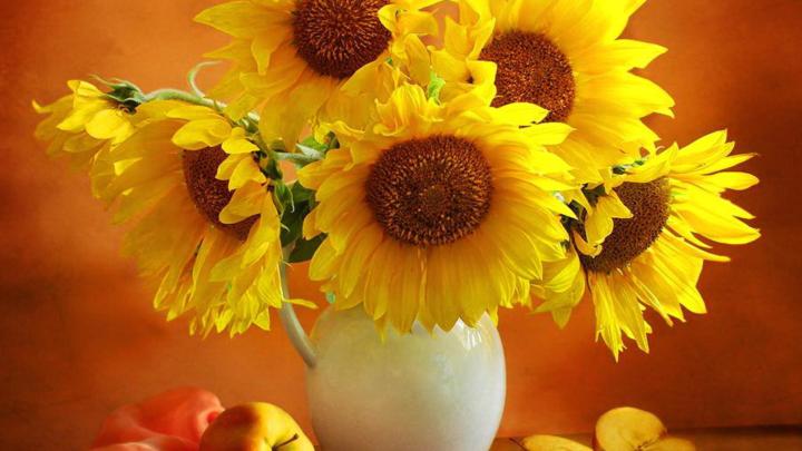 Flower Desktop Backgrounds (60+ images)