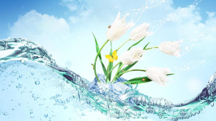 Die 56+ Besten Flower Wallpapers