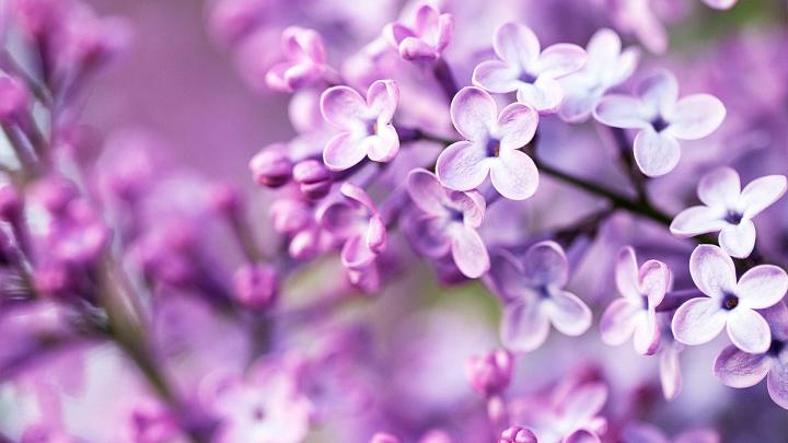 Tumblr Spring Desktop Wallpapers - Top Free Tumblr Spring Desktop 