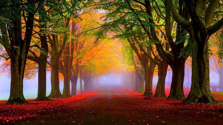 Horizontal Nature Wallpapers - Top Free Horizontal Nature Backgrounds 