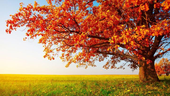 Horizontal Nature Wallpapers - Top Free Horizontal Nature Backgrounds 