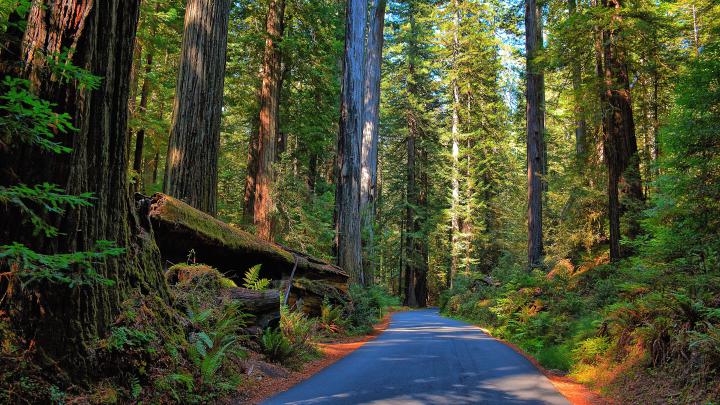8K Ultra HD Nature Wallpapers - Top Free 8K Ultra HD Nature Backgrounds 