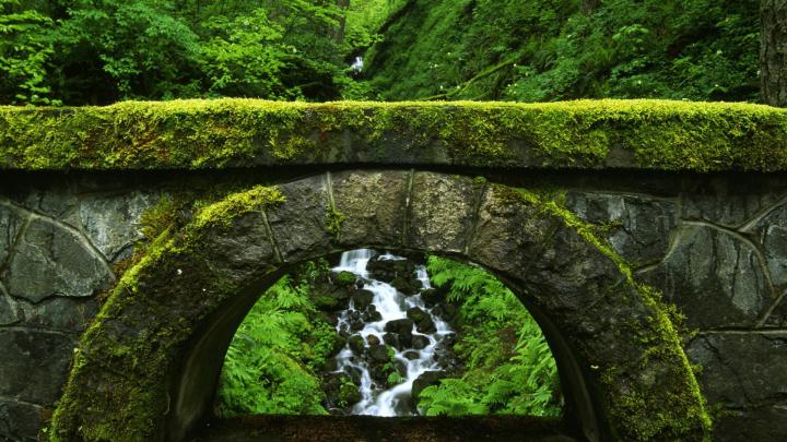 71+ Dell HD Wallpaper 1920\u00d71080