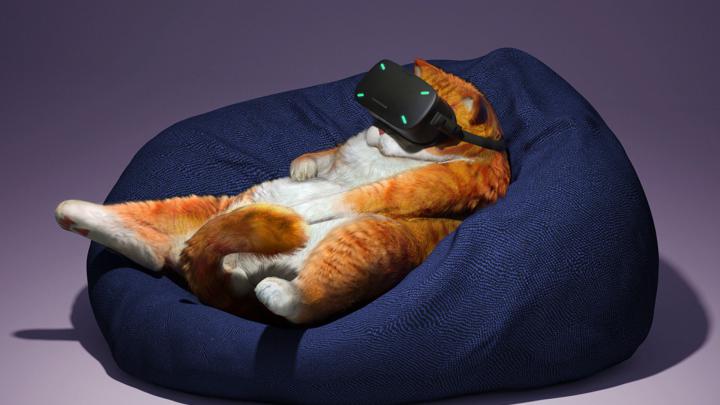 Wallpaper Cat, Glasses, Virtual Reality, Funny, Cool - Cat With Vr 