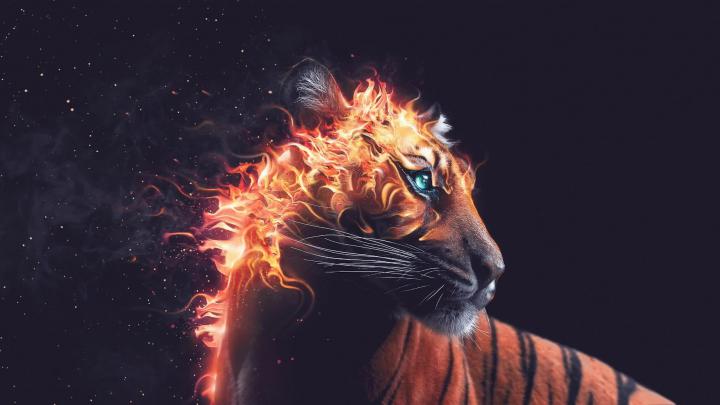Fantasy Tiger in flames \/ Fire Mane - Live Desktop Wallpaper - Live 
