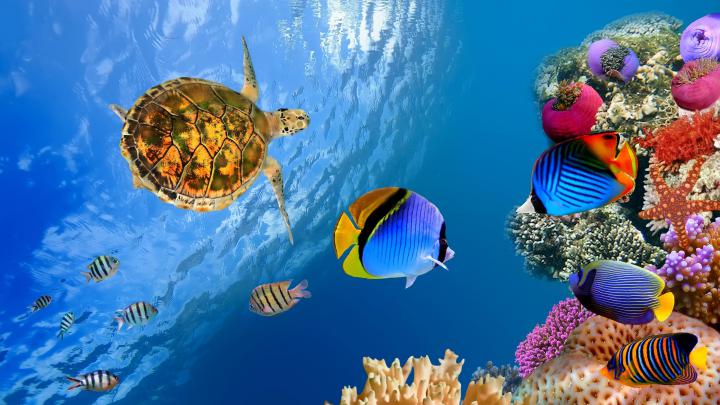 3D 4K Wallpapers - Top Free 3D 4K Backgrounds - WallpaperAccess