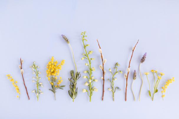 Aesthetic Spring Desktop Wallpapers