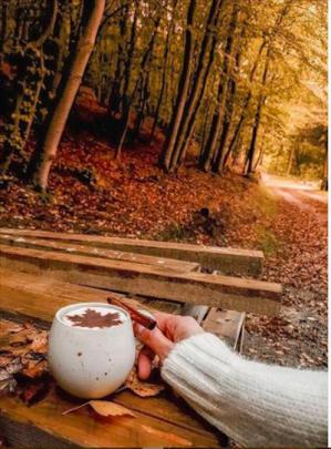 40 Cute and Aesthetic Fall Wallpaper for Iphone Backgrounds - The First 